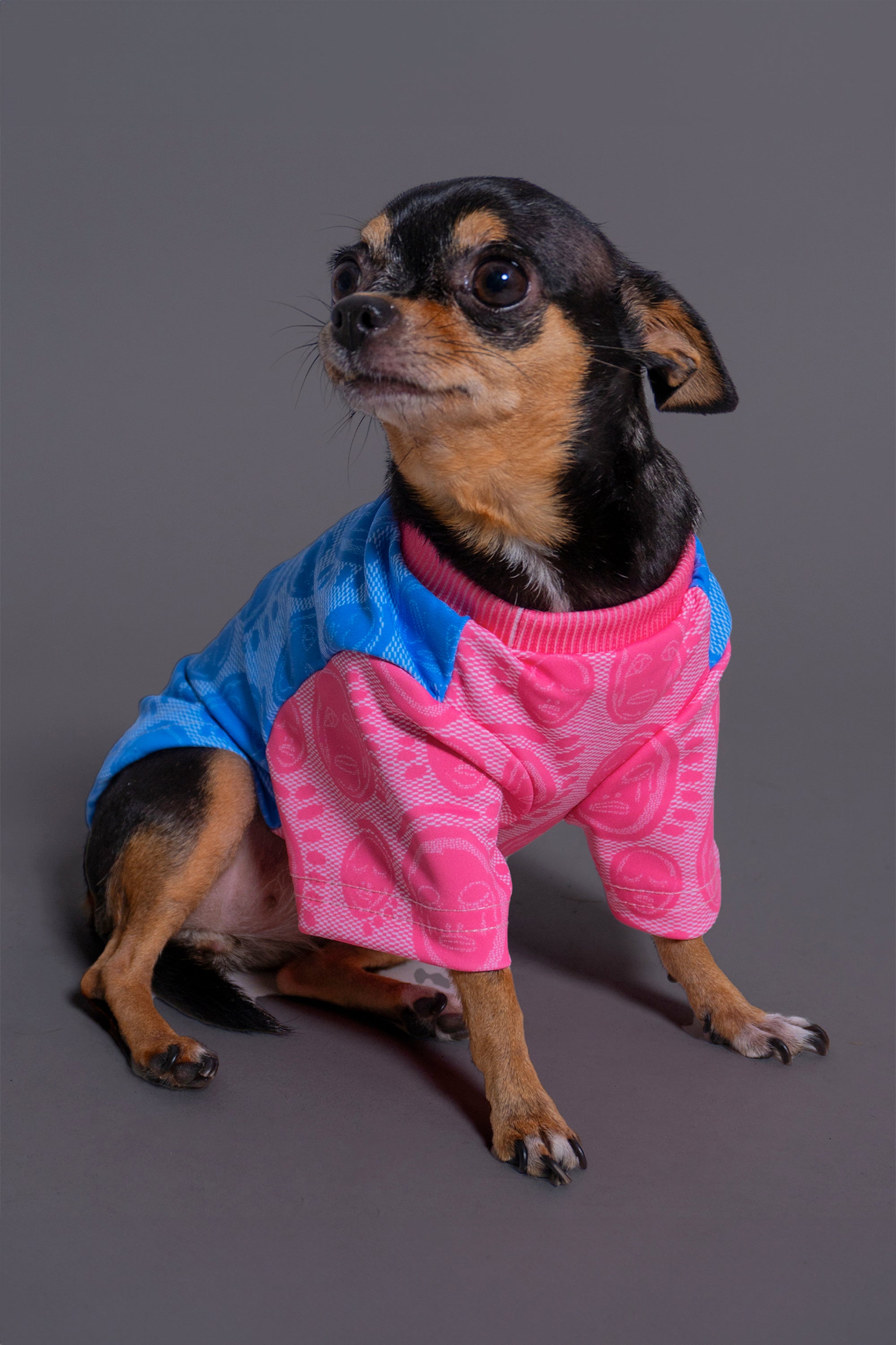 'PC Pink and Blue Monogram' Dog T-shirt - Patrick Church